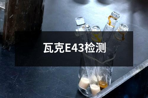 瓦克E43检测