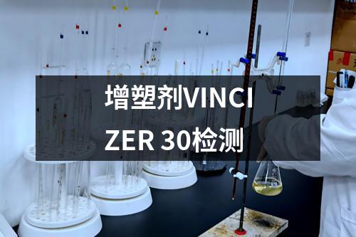 增塑剂VINCIZER 30检测