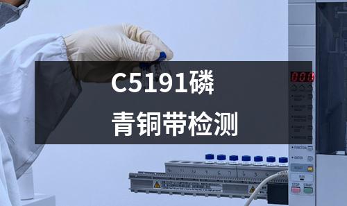 C5191磷青铜带检测