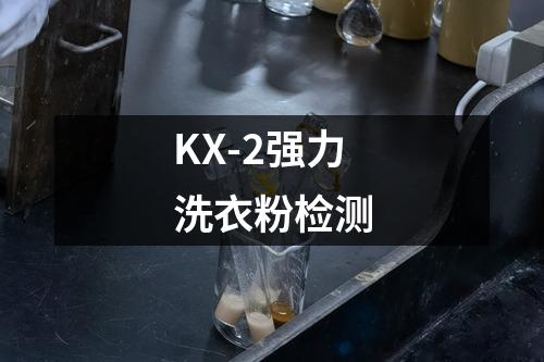 KX-2强力洗衣粉检测