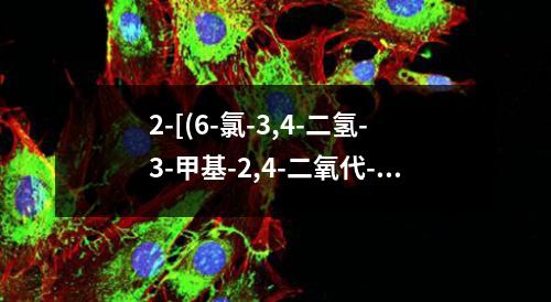 2-[(6-氯-3,4-二氢-3-甲基-2,4-二氧代-1(2H)-嘧啶基)甲基]苯甲腈检测